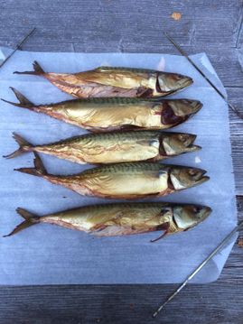 Heerlijke catering verzorgt door De Torenschouw in Opperdoes;